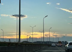 在意大利的商業法律框架下，公司常見的類型包含哪些?