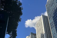 谷歌支付登陸沙特，支付寶于2026年接入，企業出海中東市場開辟新的合作機遇