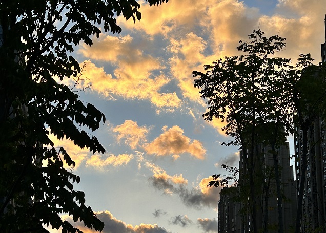 【深度解讀】2025年泰國用工風向：合規＋成本雙維度，避免“無知吃虧”的5大雷區