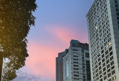 巴拿馬公司注冊難度解析：低門檻下的合規挑戰與應對