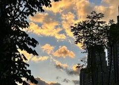 韓國(guó)公司年審逾期應(yīng)對(duì)策略與風(fēng)險(xiǎn)規(guī)避指南